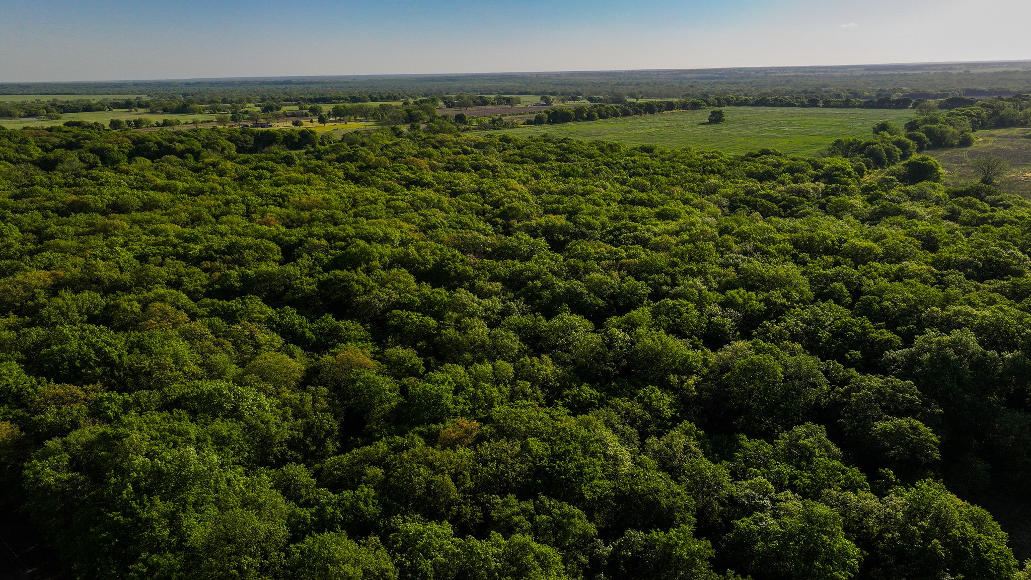 Tbd Fm 103 Nocona TX 76255