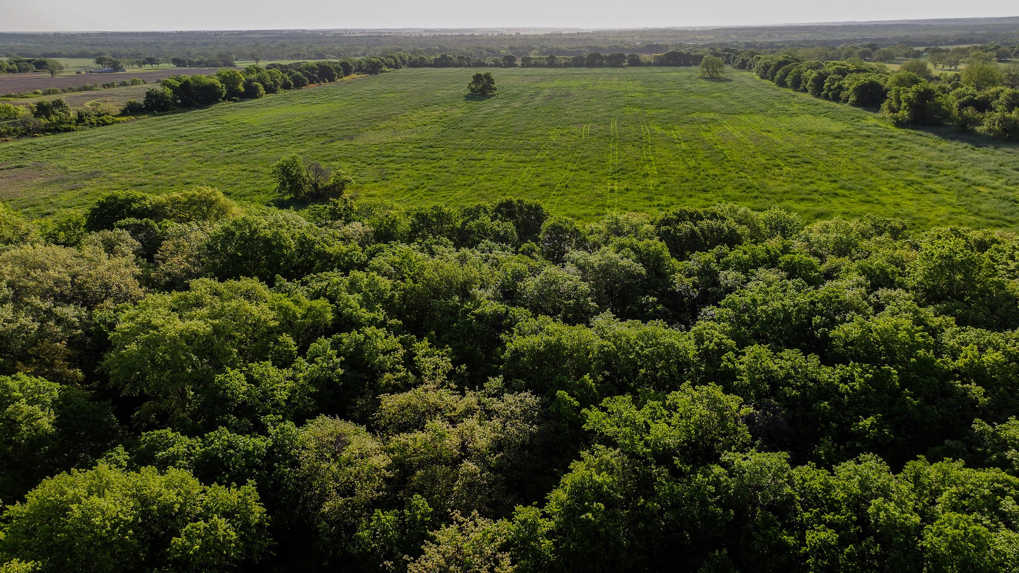 Tbd Fm 103 Nocona TX 76255