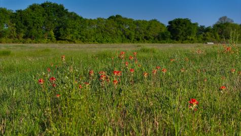 Tbd Fm 103 Nocona TX 76255