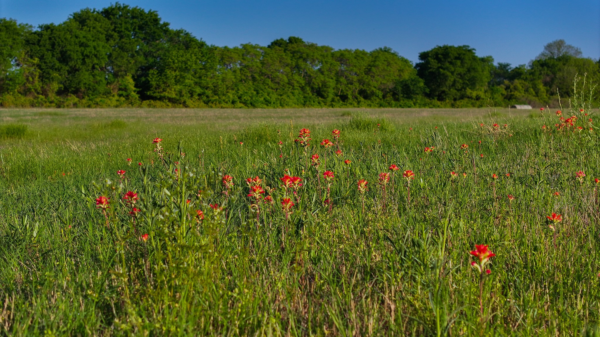 Tbd Fm 103 Nocona TX 76255