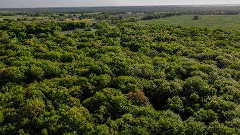 Tbd Fm 103 Nocona TX 76255