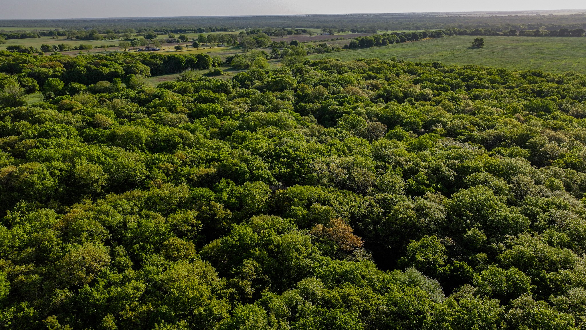 Tbd Fm 103 Nocona TX 76255