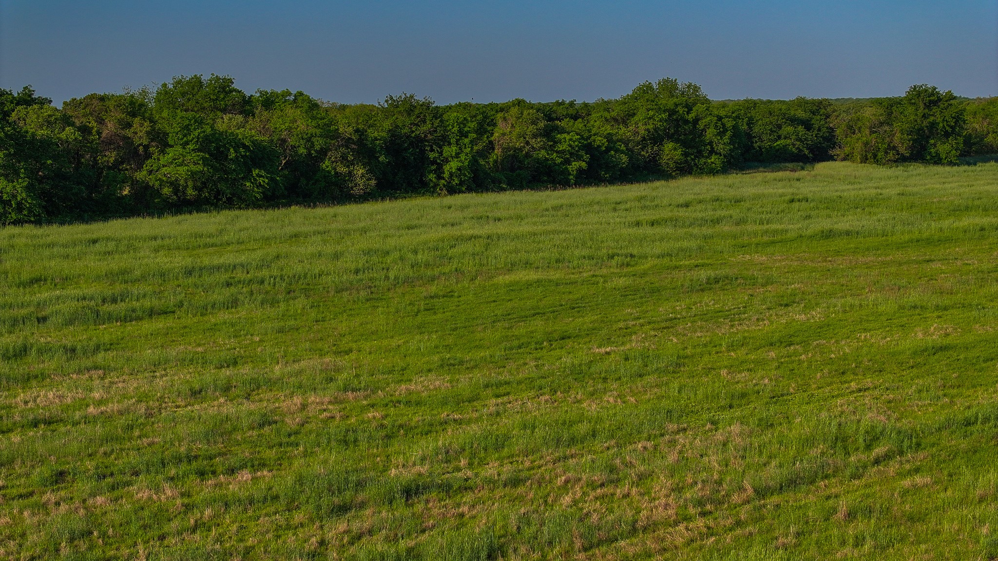 Tbd Fm 103 Nocona TX 76255