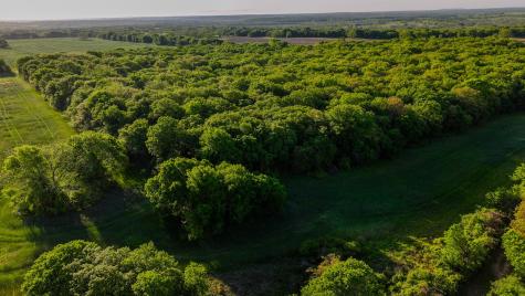 Tbd Fm 103 Nocona TX 76255