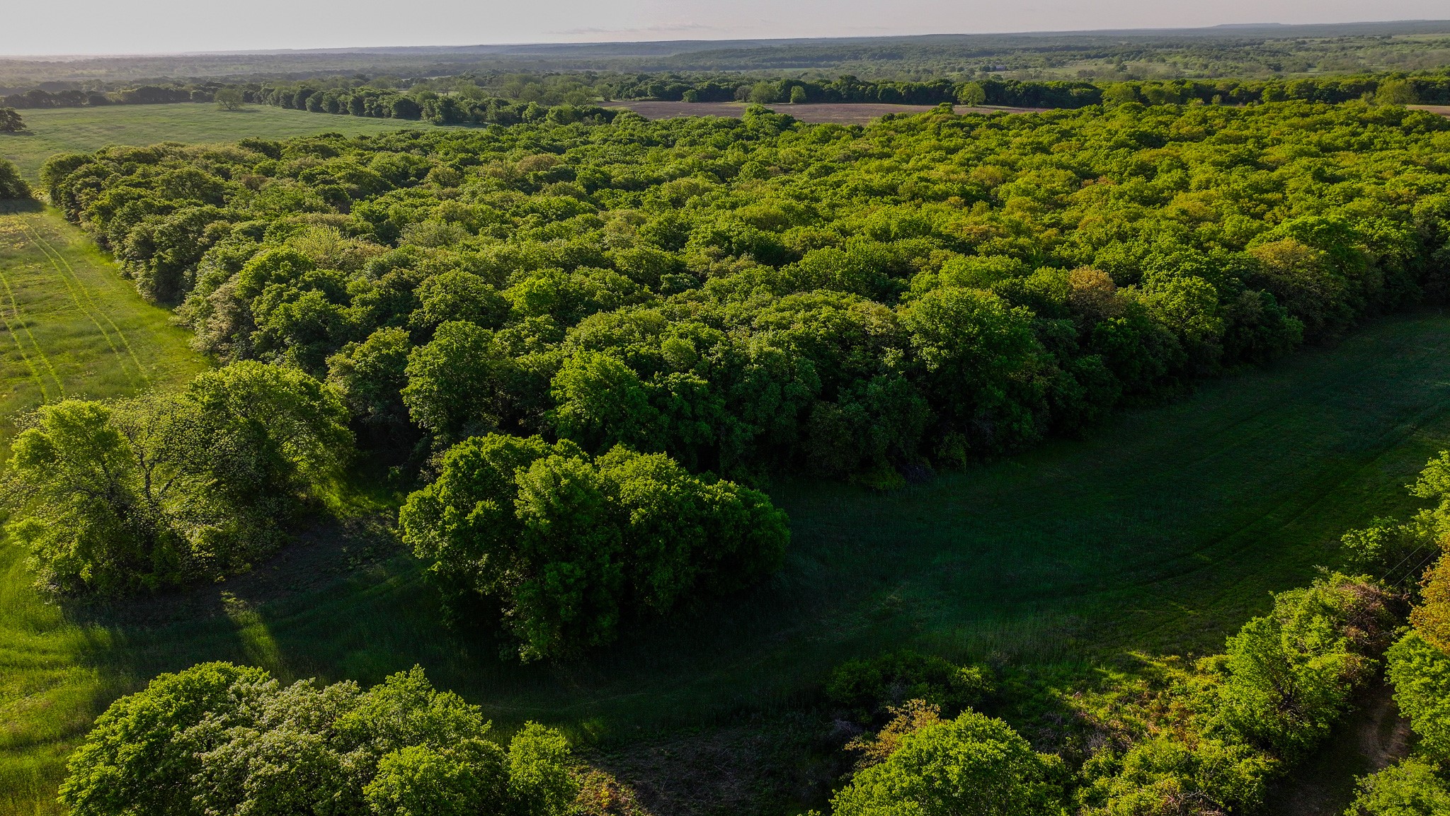 Tbd Fm 103 Nocona TX 76255
