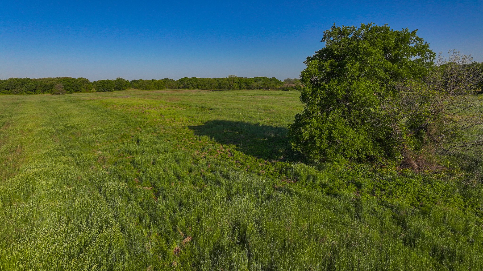 Tbd Fm 103 Nocona TX 76255