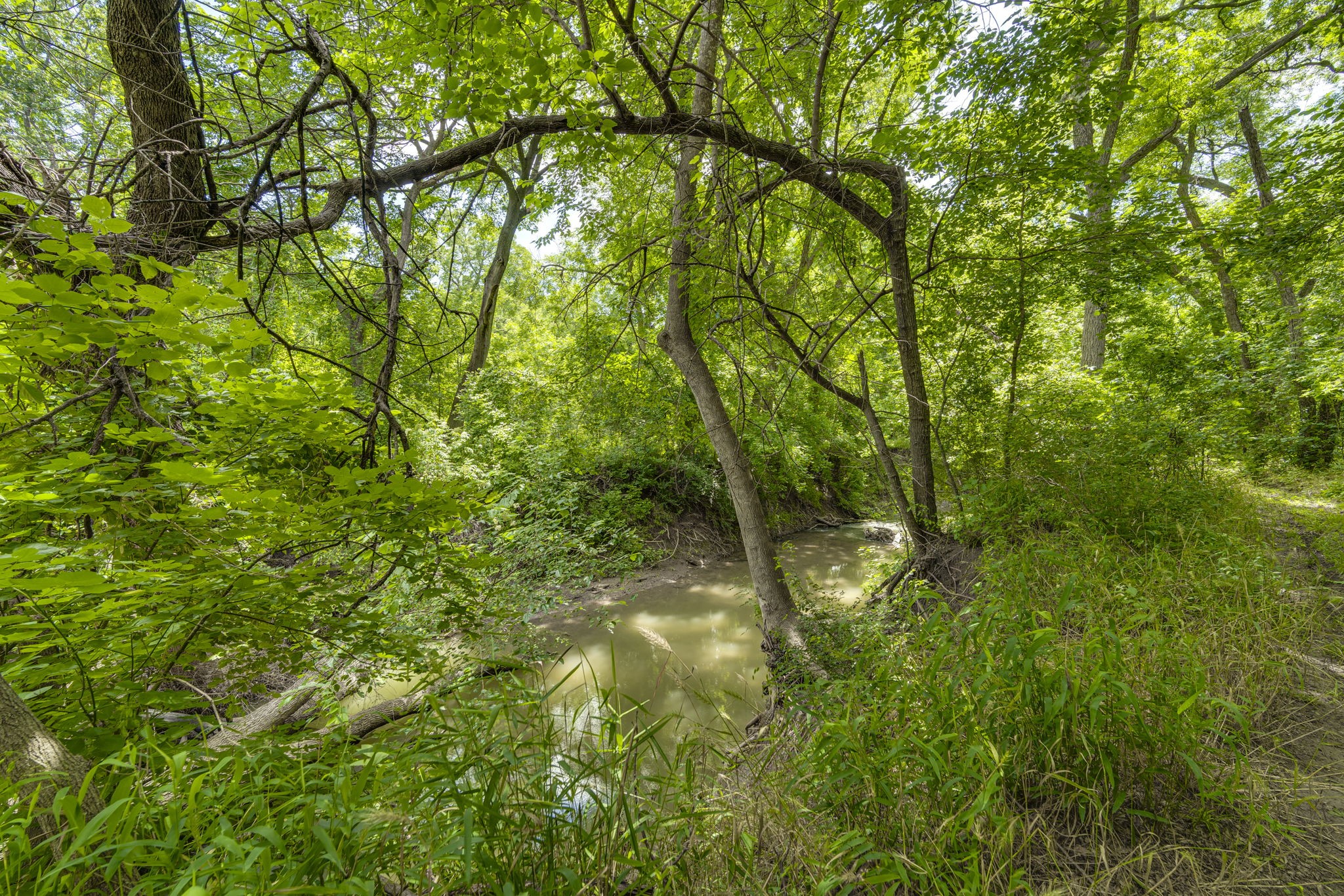 Tbd Oak Tree Waxahachie TX 75167