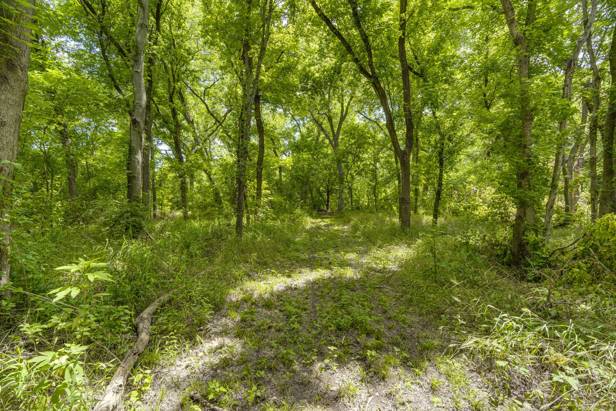 Tbd Oak Tree Waxahachie TX 75167