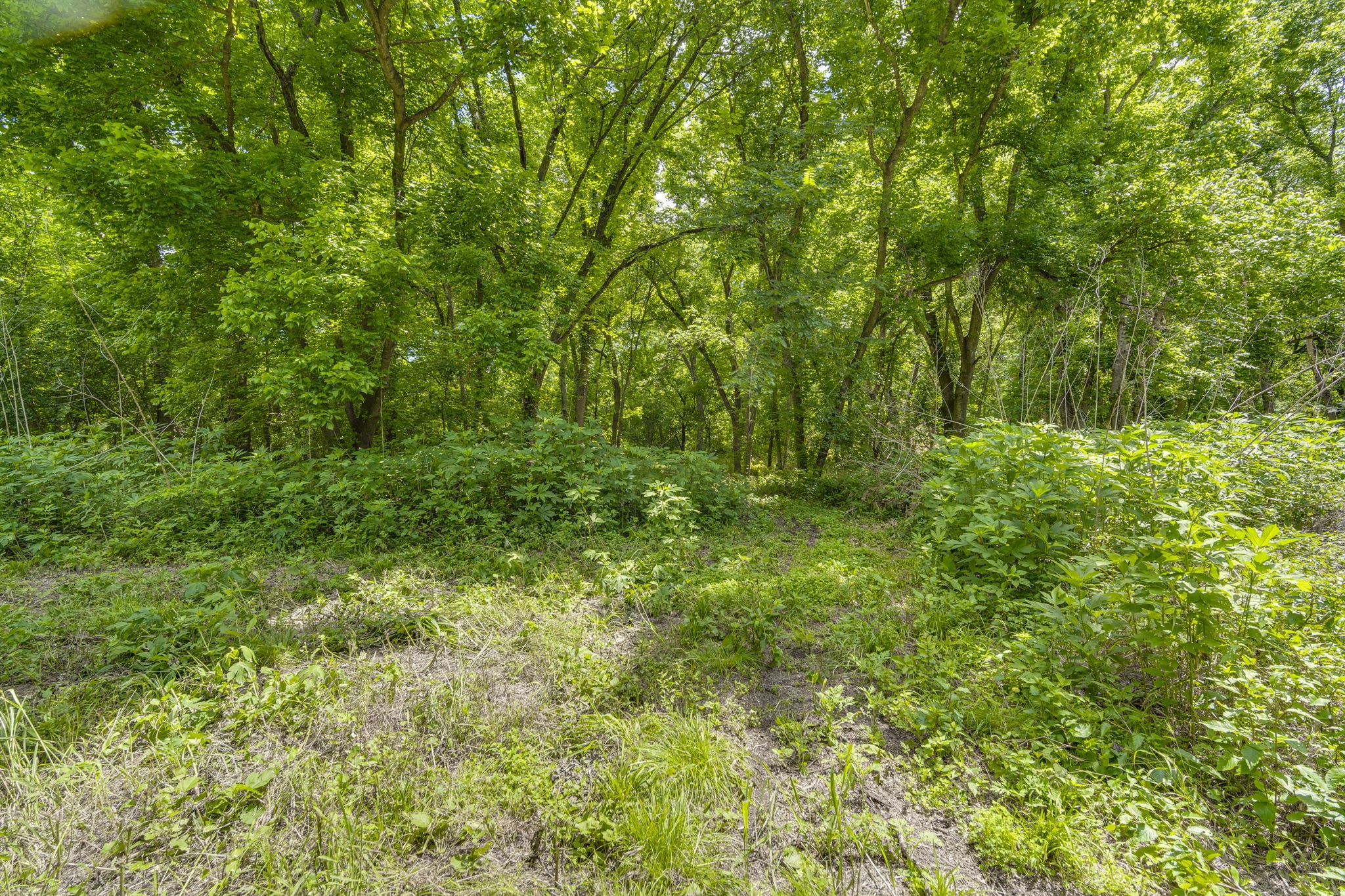 Tbd Oak Tree Waxahachie TX 75167
