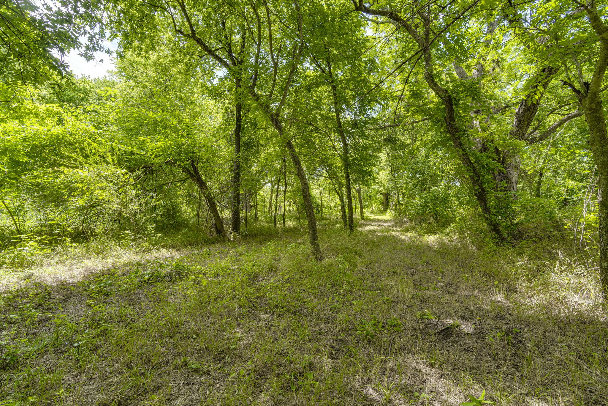 Tbd Oak Tree Waxahachie TX 75167