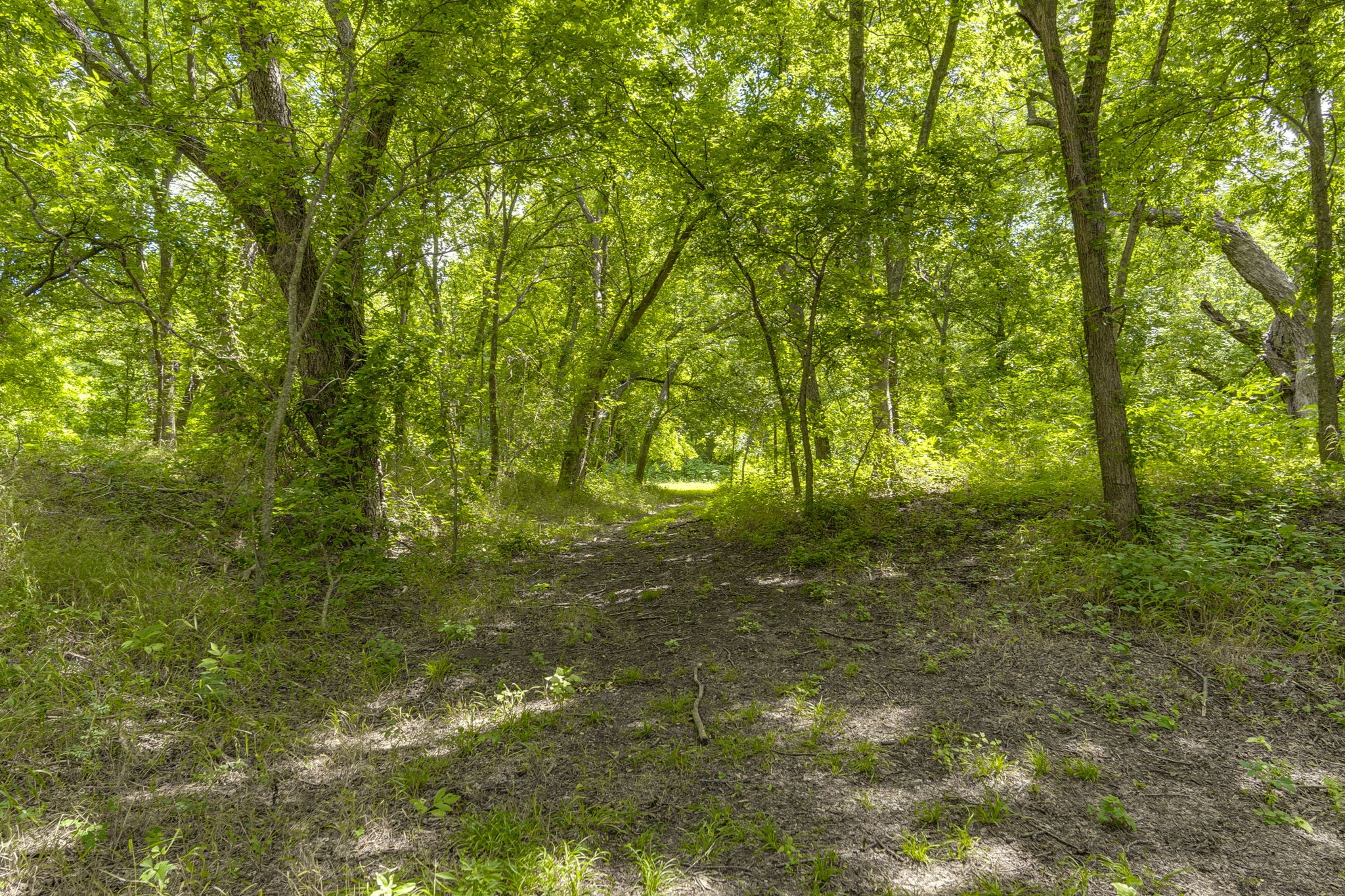 Tbd Oak Tree Waxahachie TX 75167