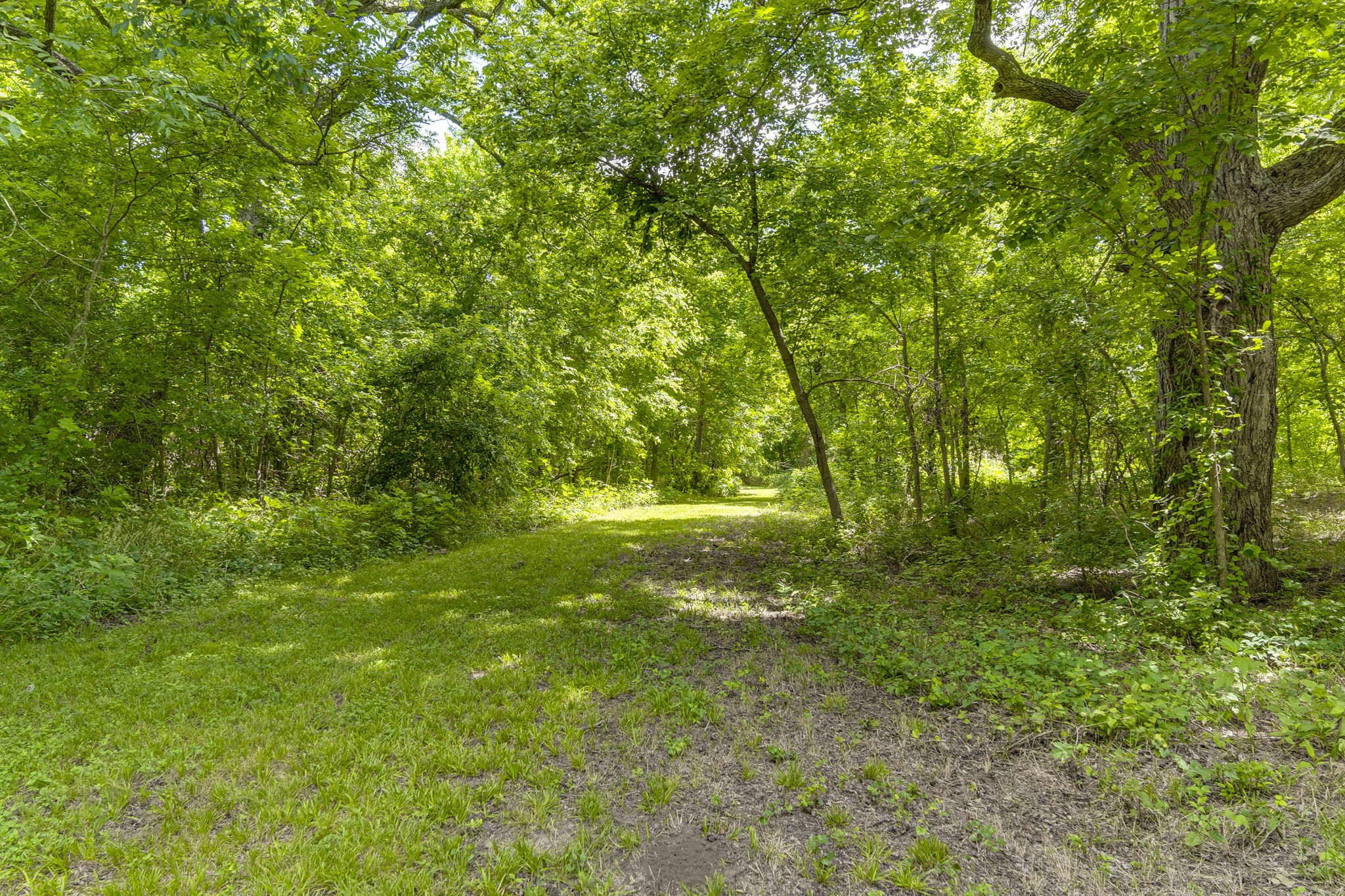 Tbd Oak Tree Waxahachie TX 75167