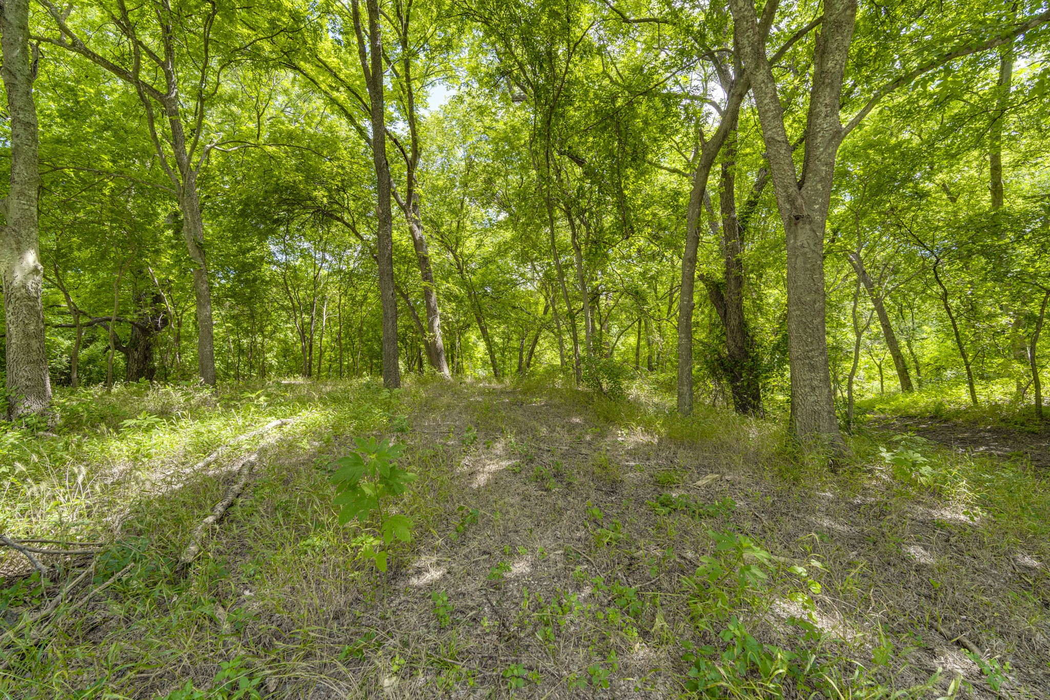 Tbd Oak Tree Waxahachie TX 75167