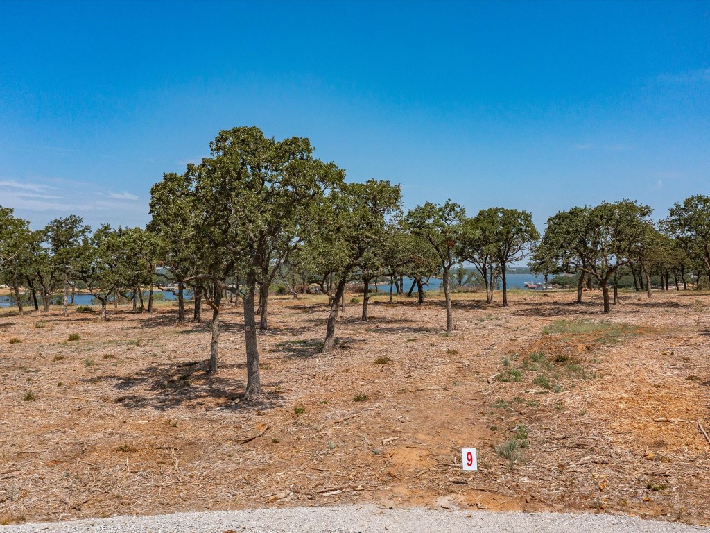 Lot 9 Choate Bowie TX 76230