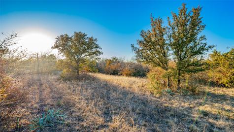 2220 Walter Smith Court Azle TX 76020