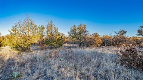 2220 Walter Smith Court Azle TX 76020