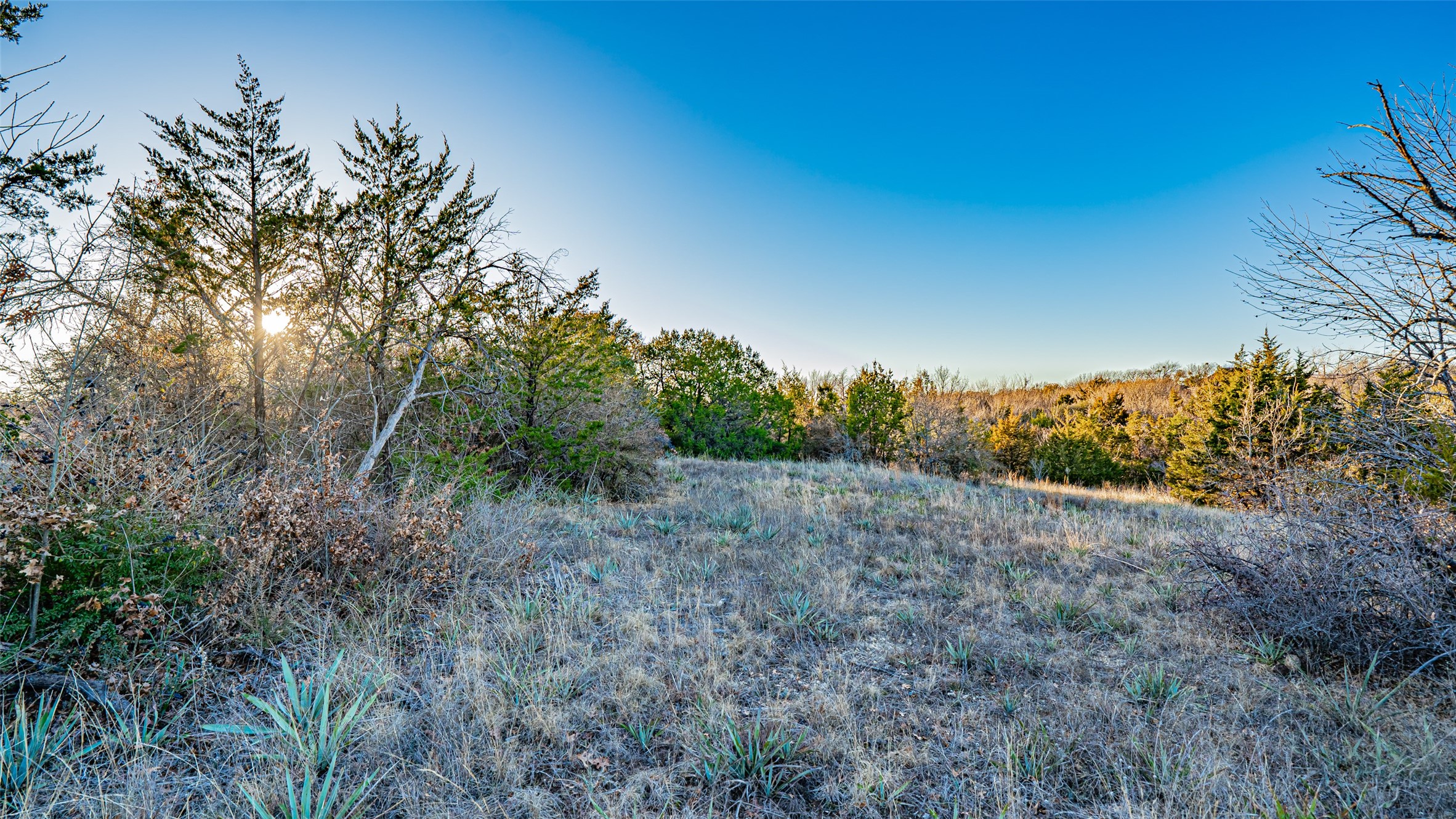 2220 Walter Smith Court Azle TX 76020
