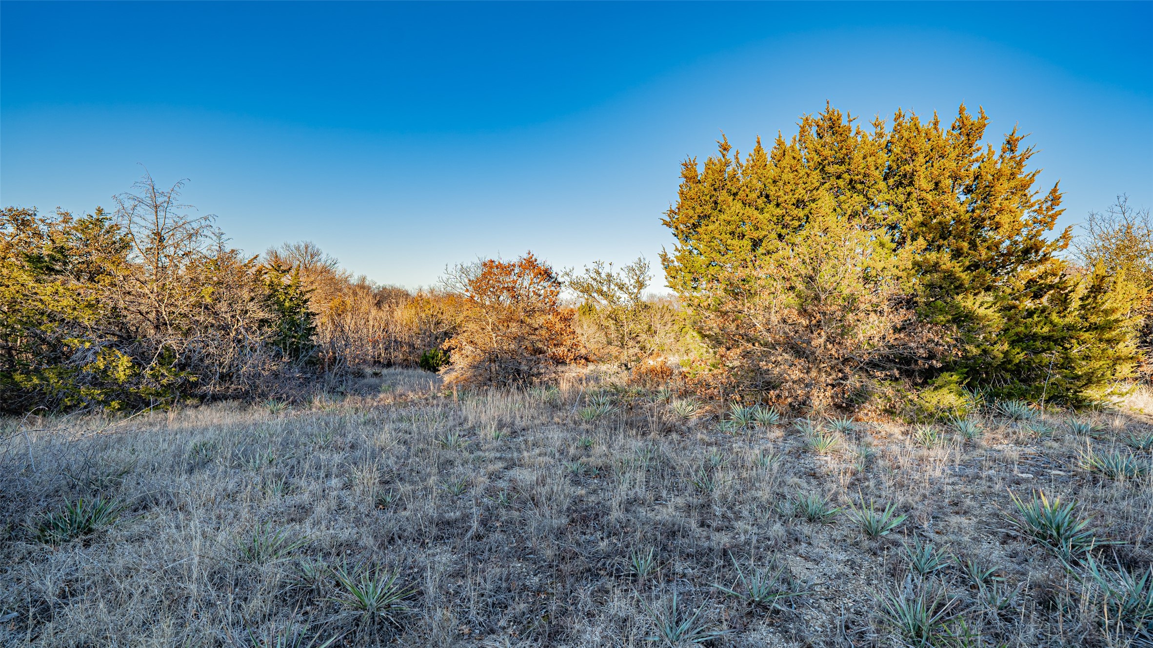 2220 Walter Smith Court Azle TX 76020