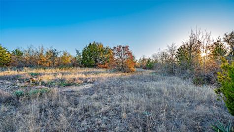 2220 Walter Smith Court Azle TX 76020