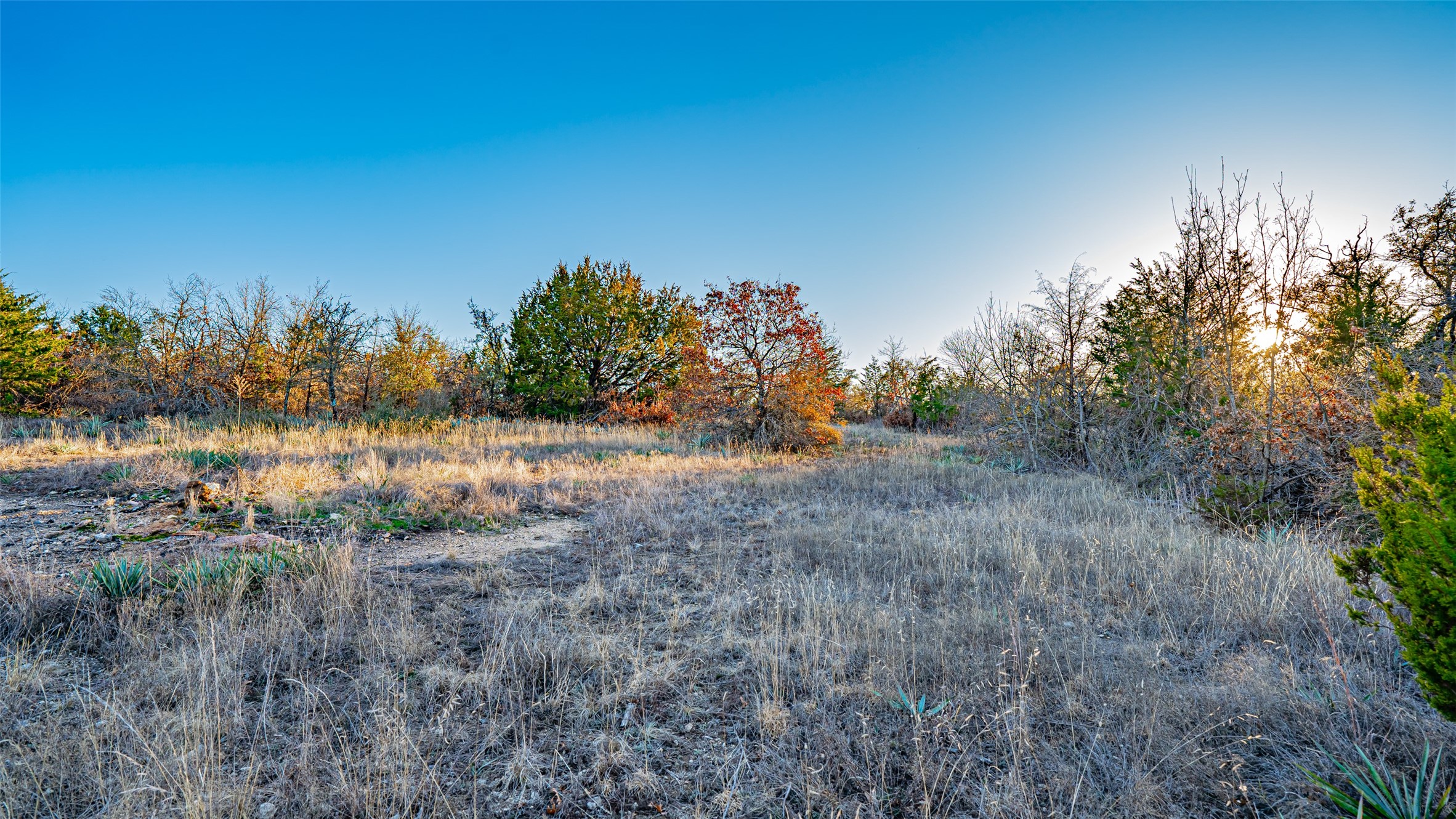 2220 Walter Smith Court Azle TX 76020