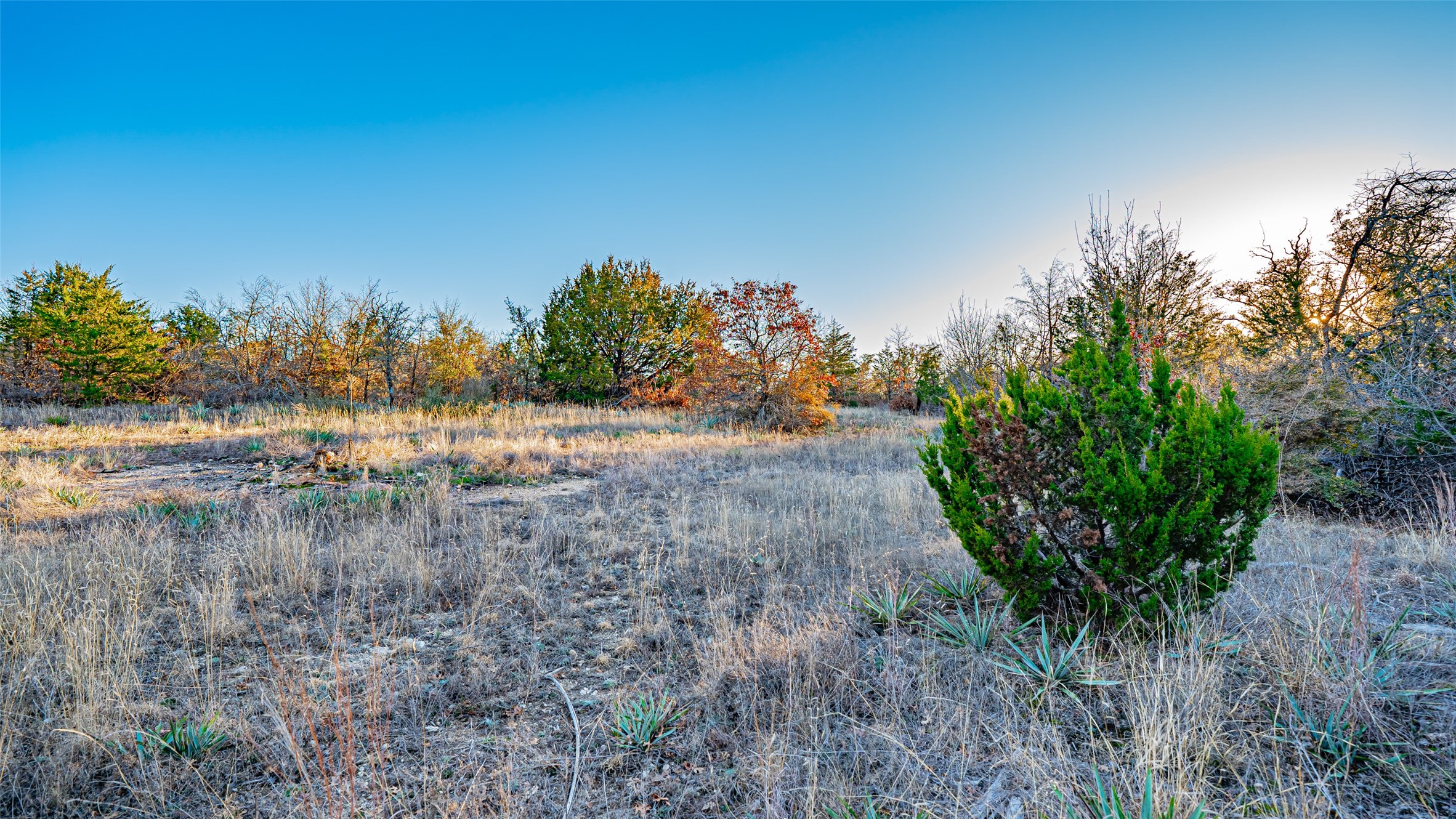 2220 Walter Smith Court Azle TX 76020