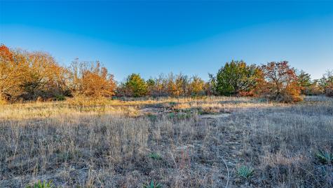 2220 Walter Smith Court Azle TX 76020