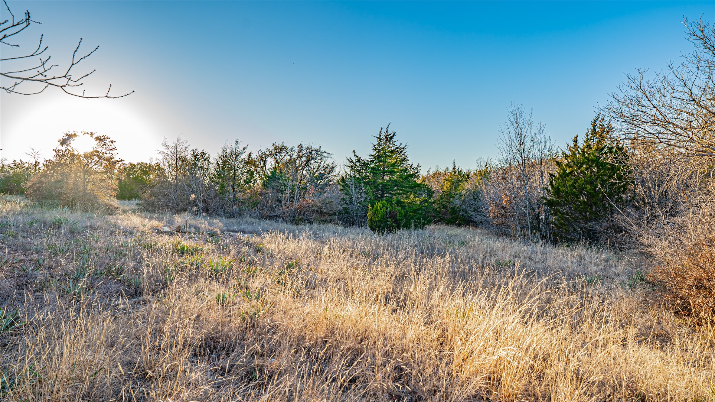2220 Walter Smith Court Azle TX 76020