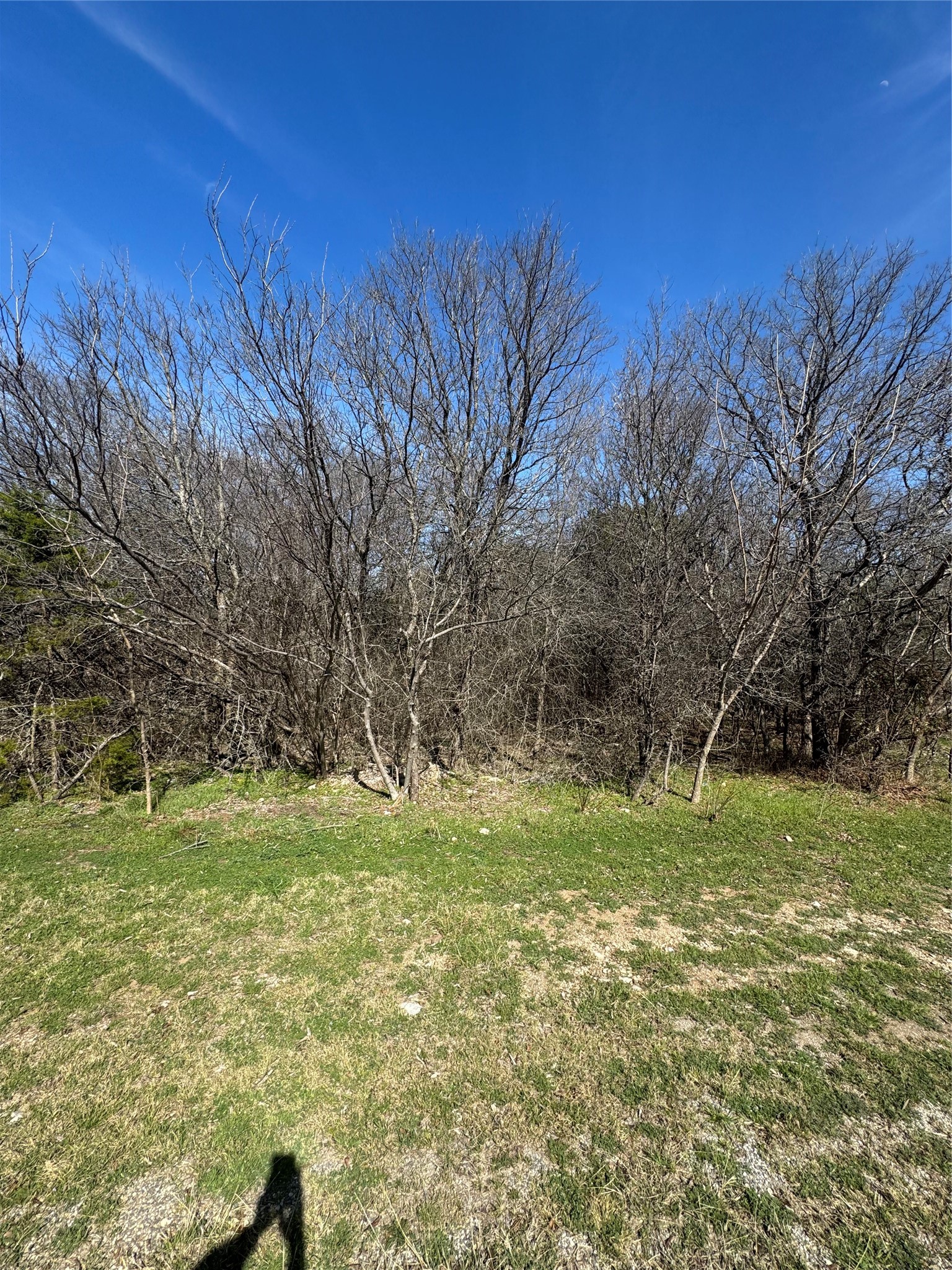 1280 Paint Brush Court Whitney TX 76692
