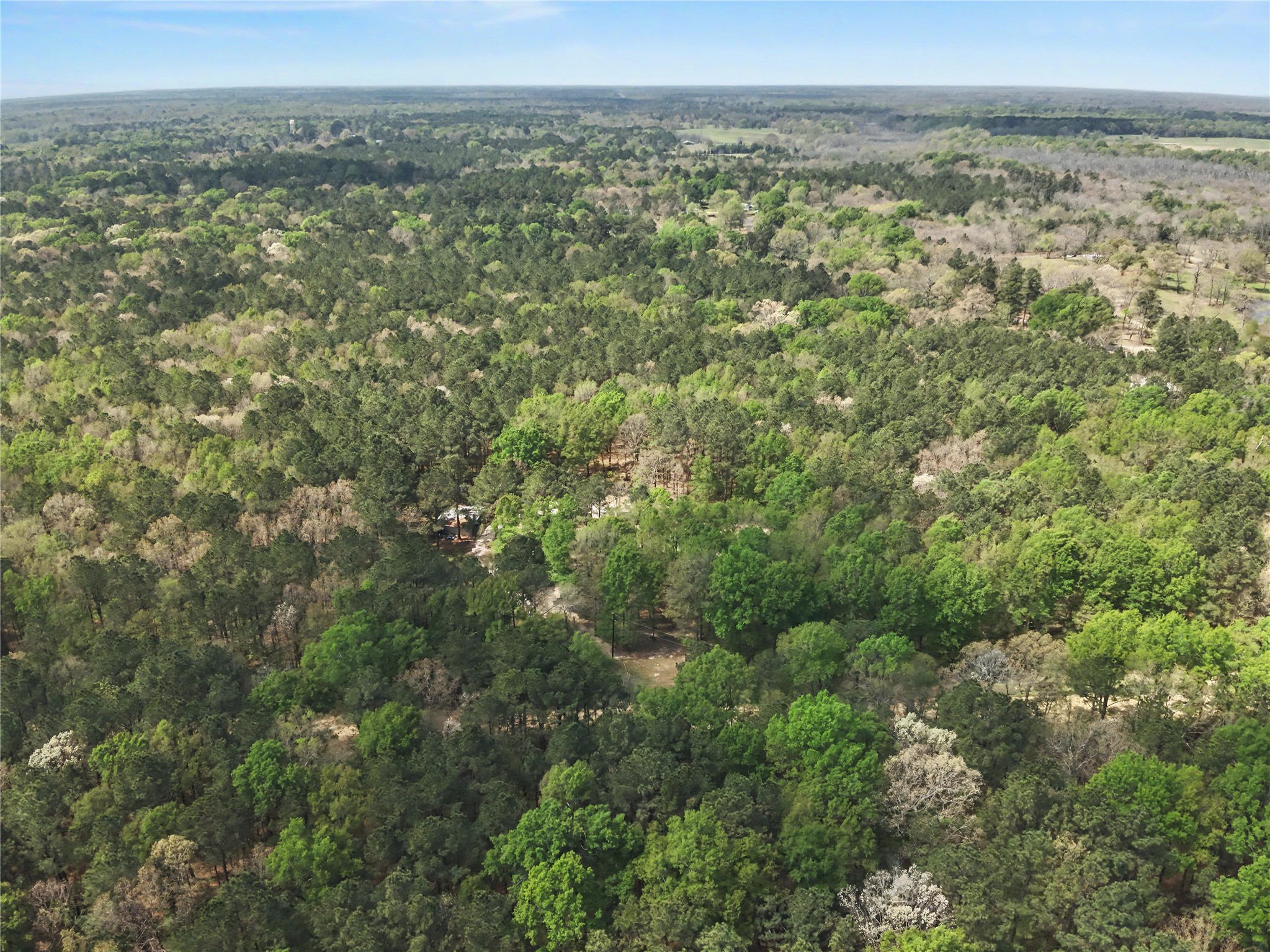 31 +/- Ac Cr 2108 Hooks TX 75561
