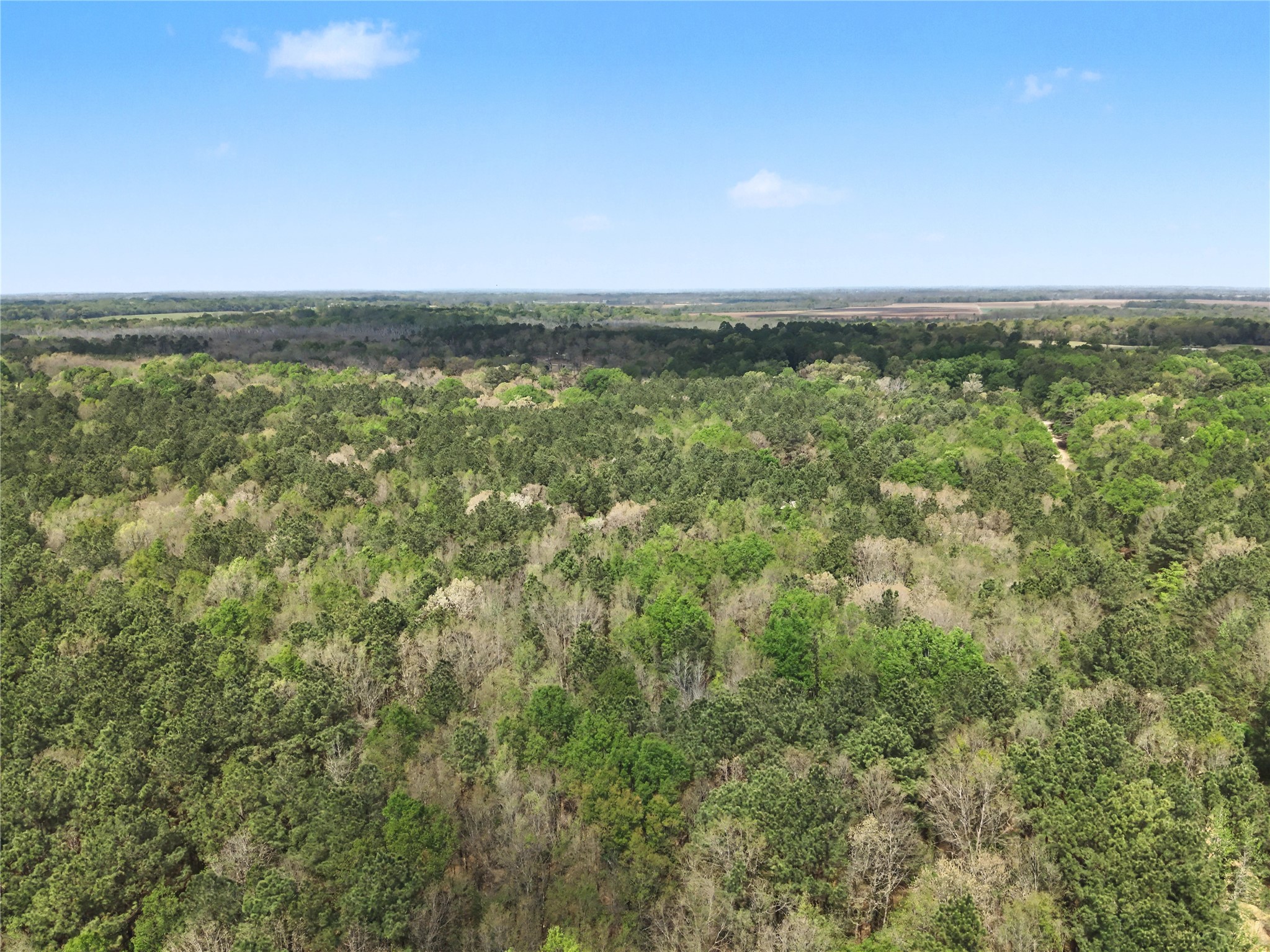 31 +/- Ac Cr 2108 Hooks TX 75561