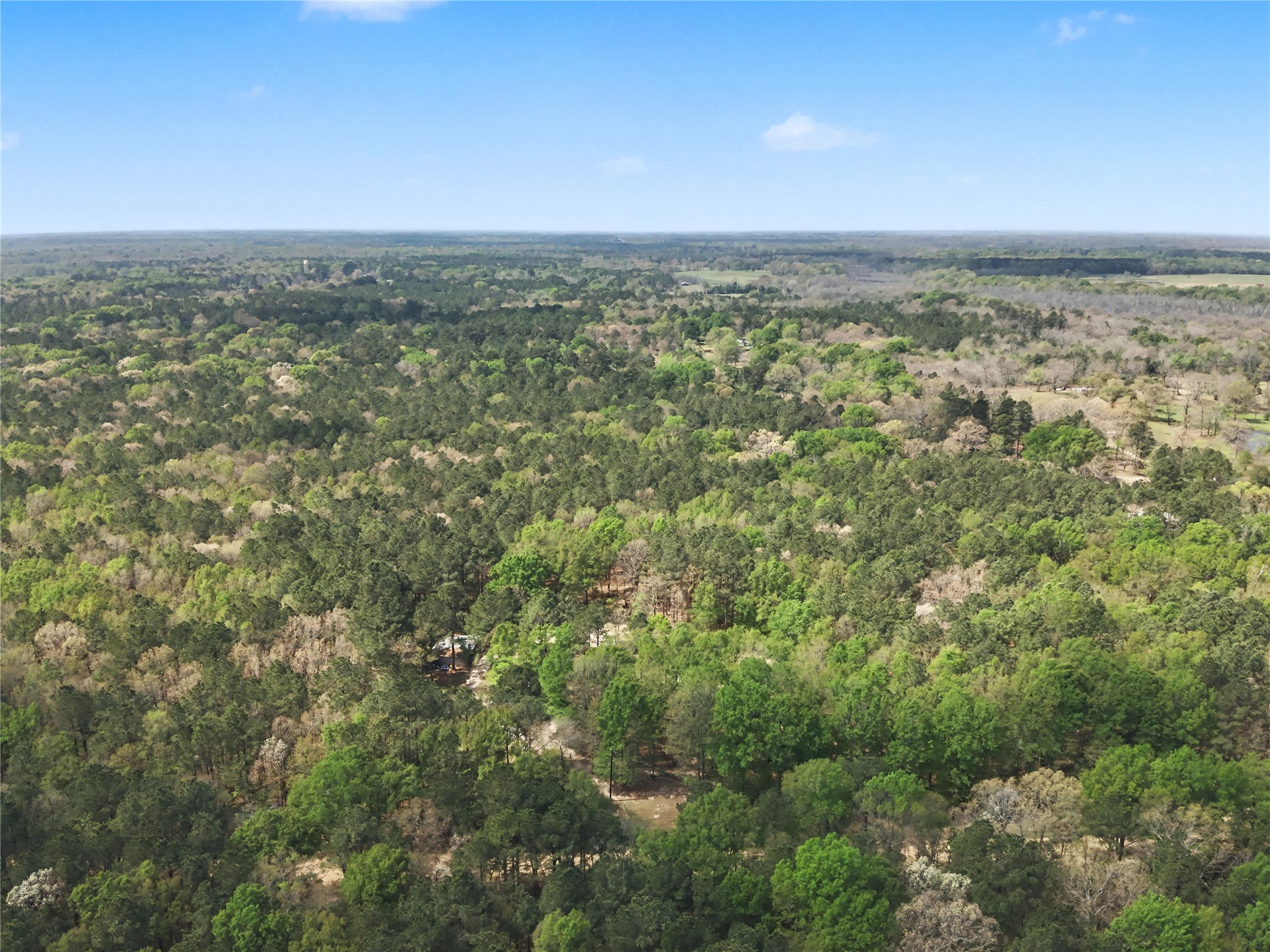31 +/- Ac Cr 2108 Hooks TX 75561