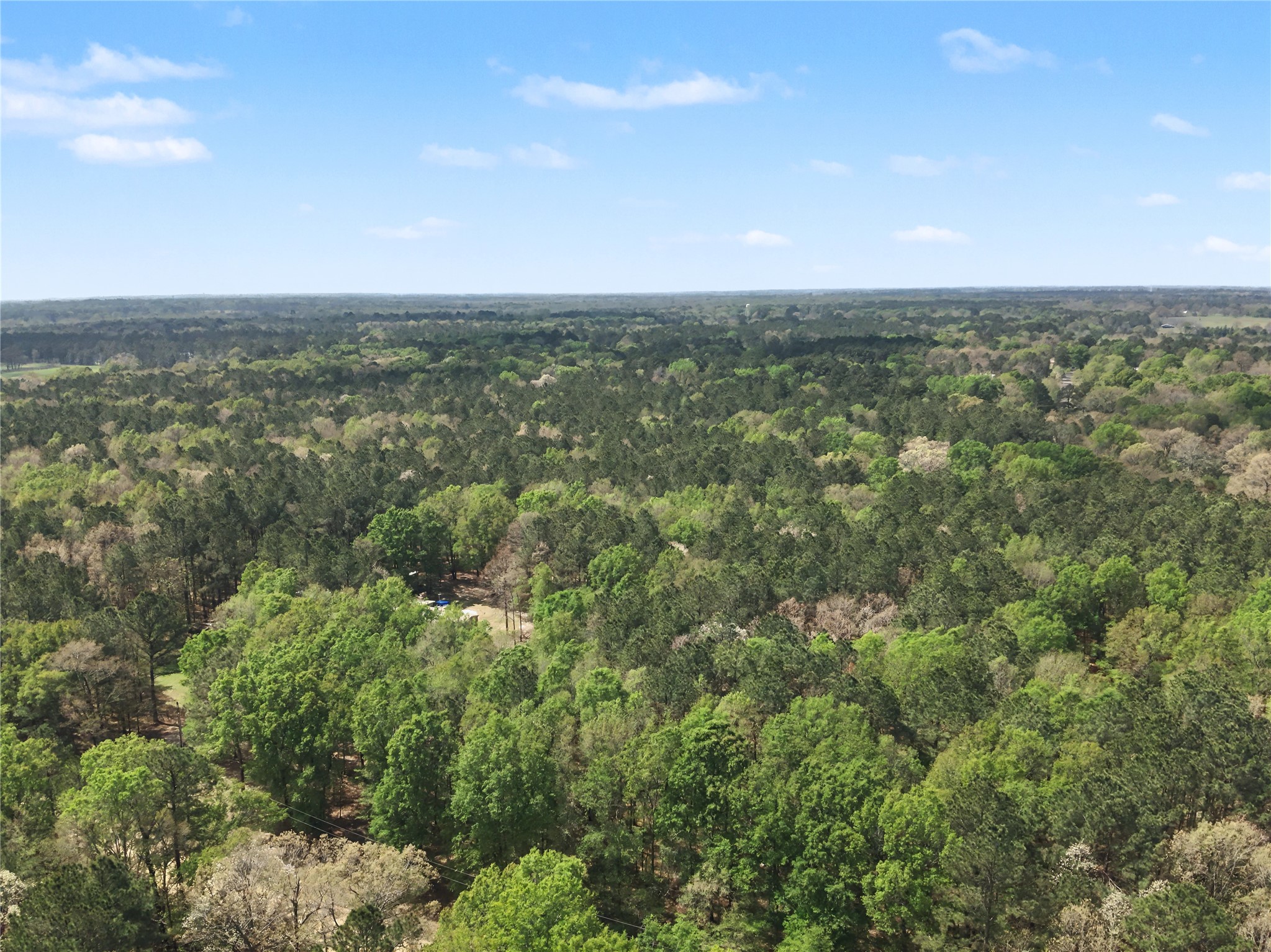 31 +/- Ac Cr 2108 Hooks TX 75561