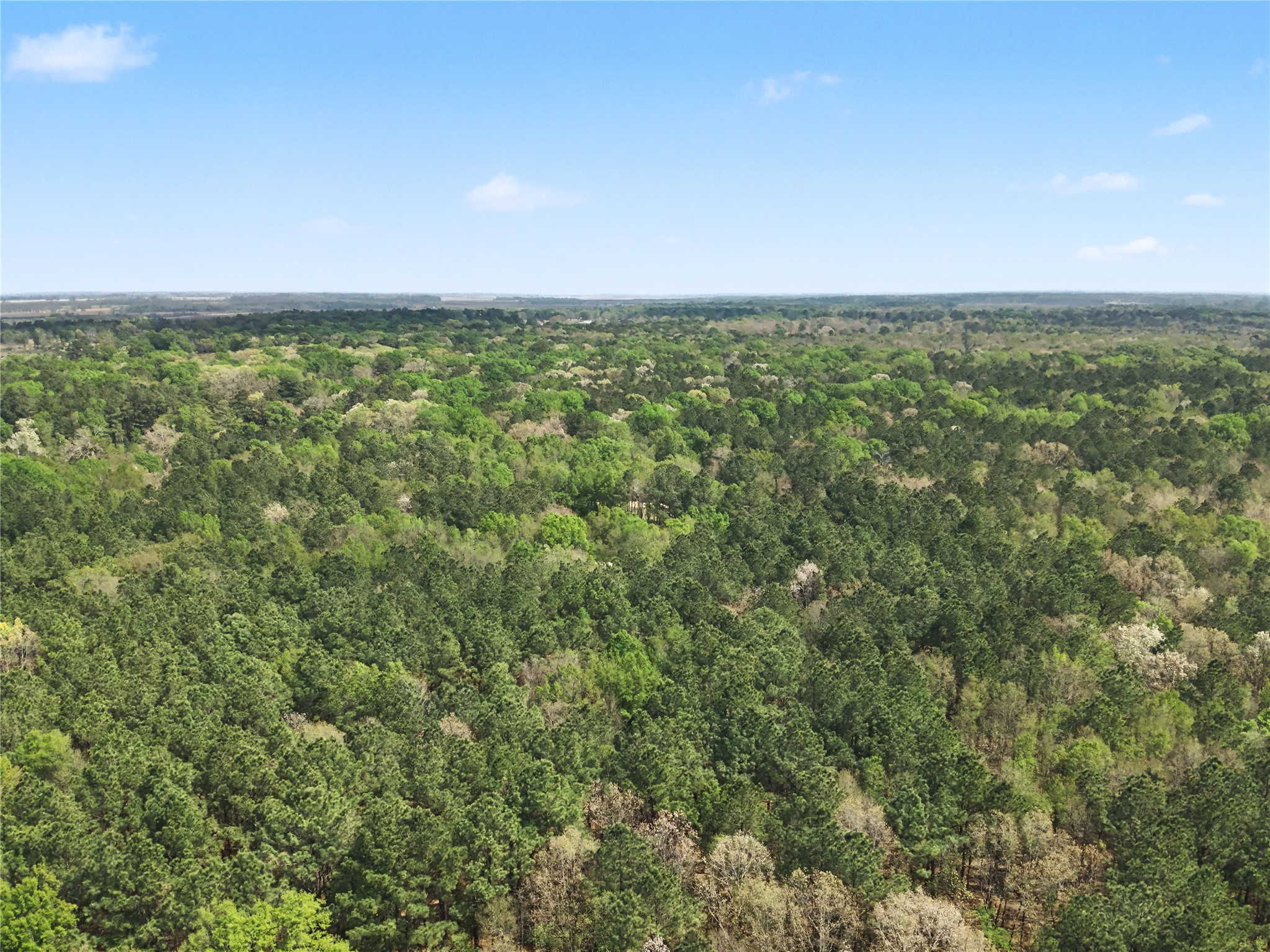 31 +/- Ac Cr 2108 Hooks TX 75561