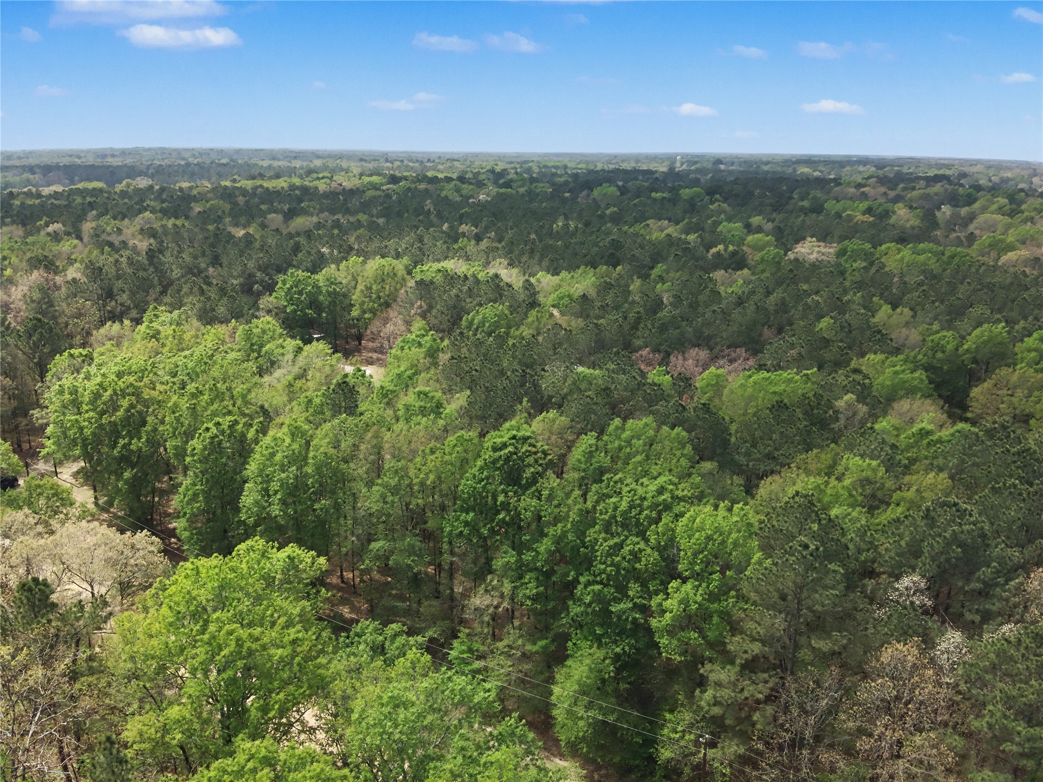 31 +/- Ac Cr 2108 Hooks TX 75561