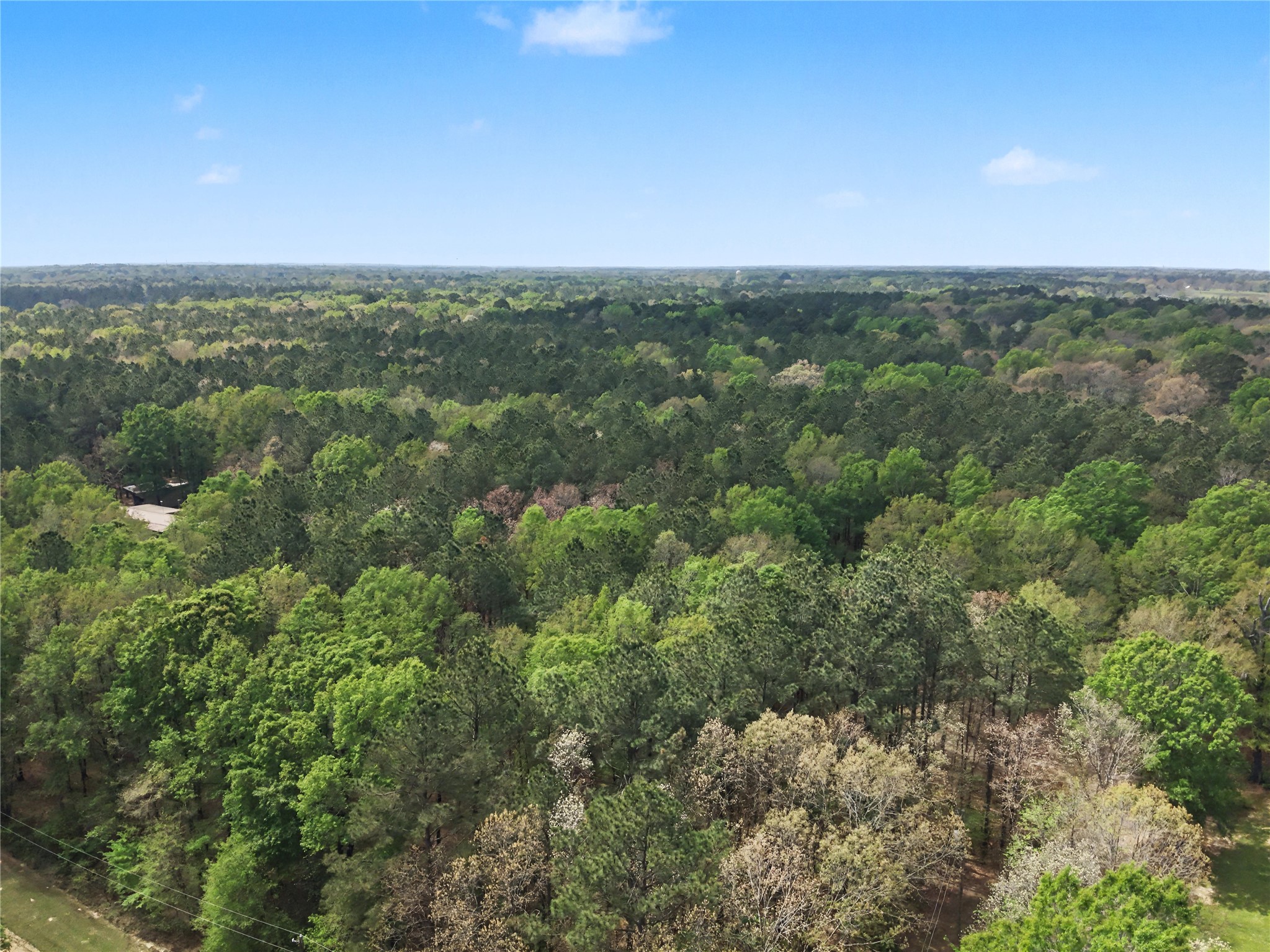 31 +/- Ac Cr 2108 Hooks TX 75561