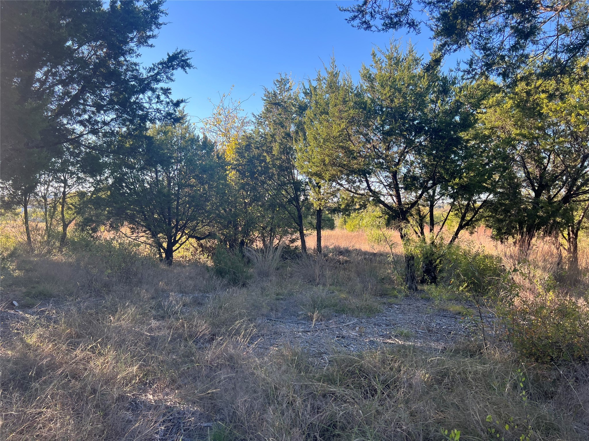 1000 Carsyn Creek Road Weatherford TX 76087
