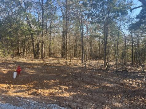 Lot 35 Reflection Bay Boulevard Gordonville TX 76245