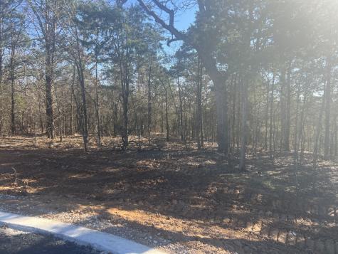 Lot 35 Reflection Bay Boulevard Gordonville TX 76245