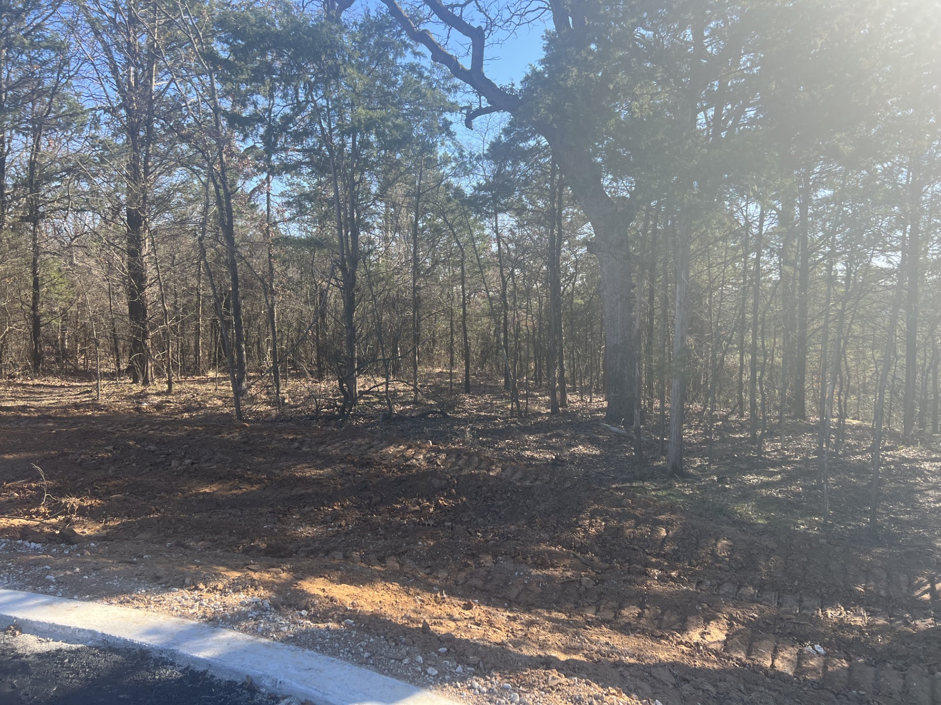 Lot 35 Reflection Bay Boulevard Gordonville TX 76245