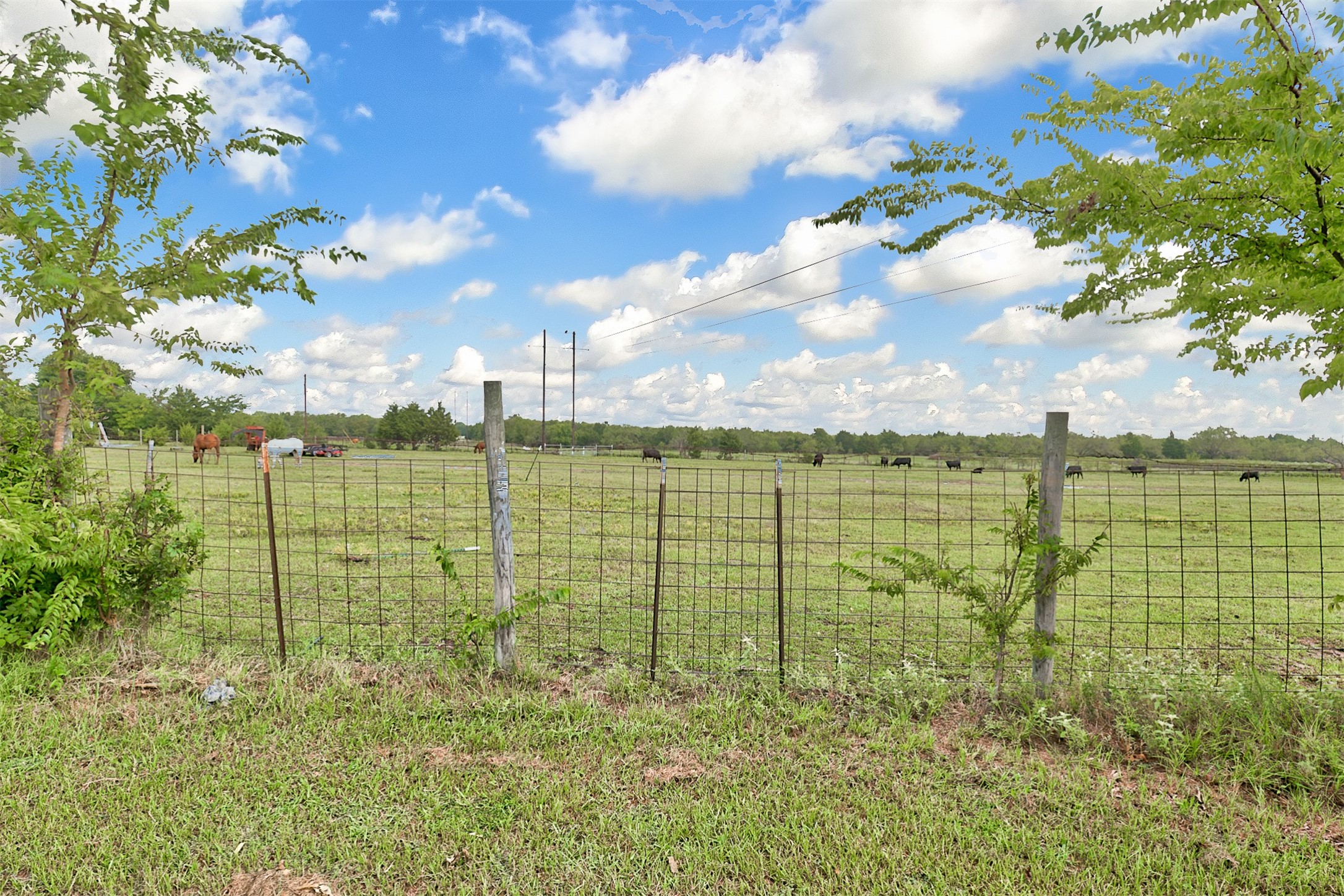 0 Palmer Lane Oak Grove TX 75142