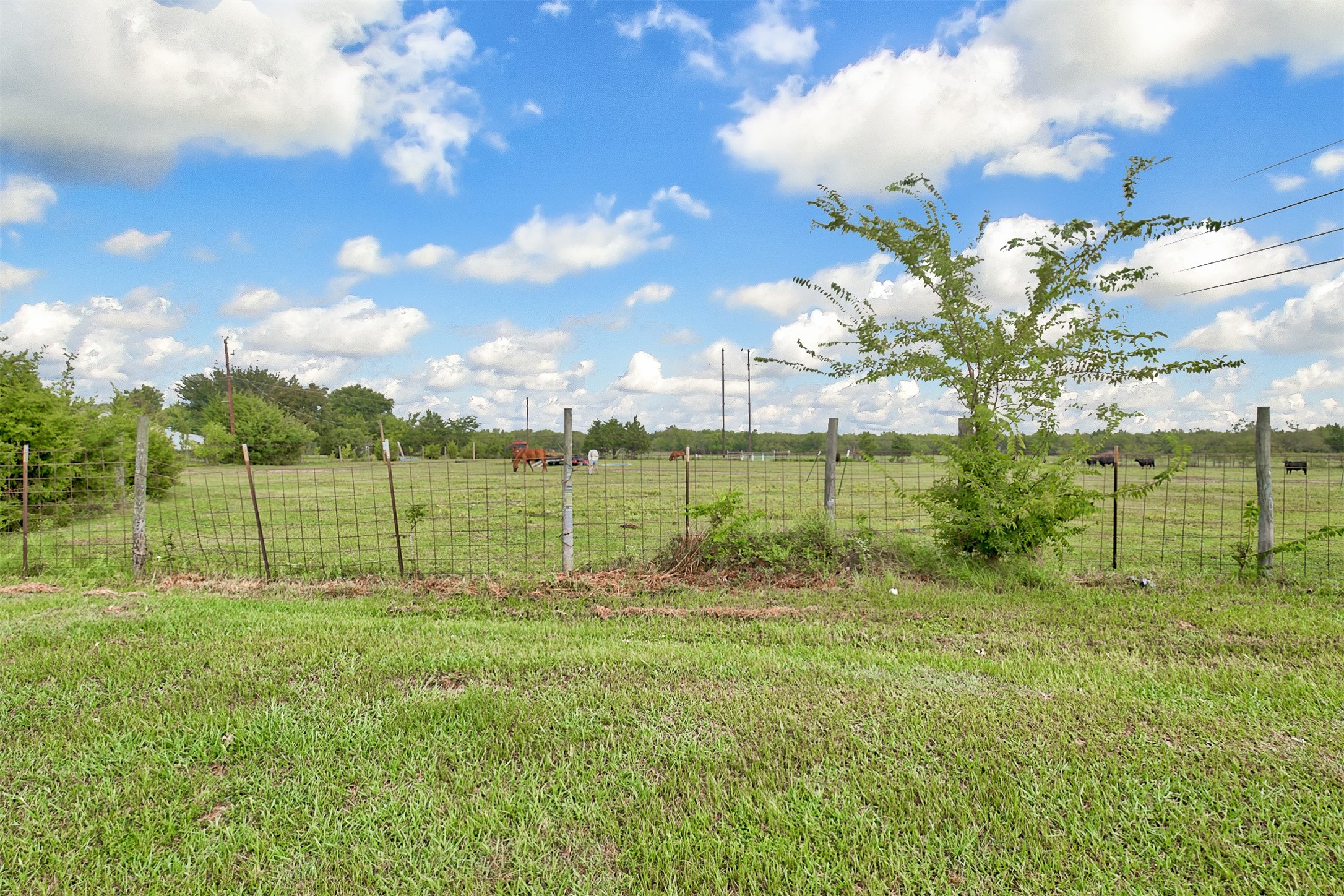 0 Palmer Lane Oak Grove TX 75142
