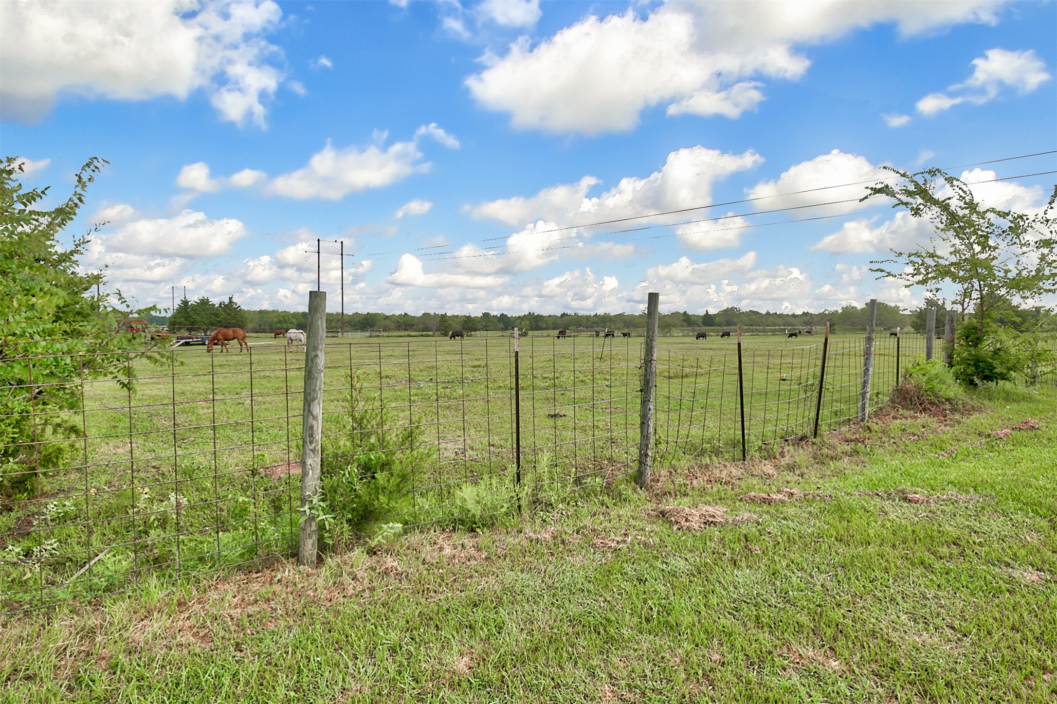 0 Palmer Lane Oak Grove TX 75142