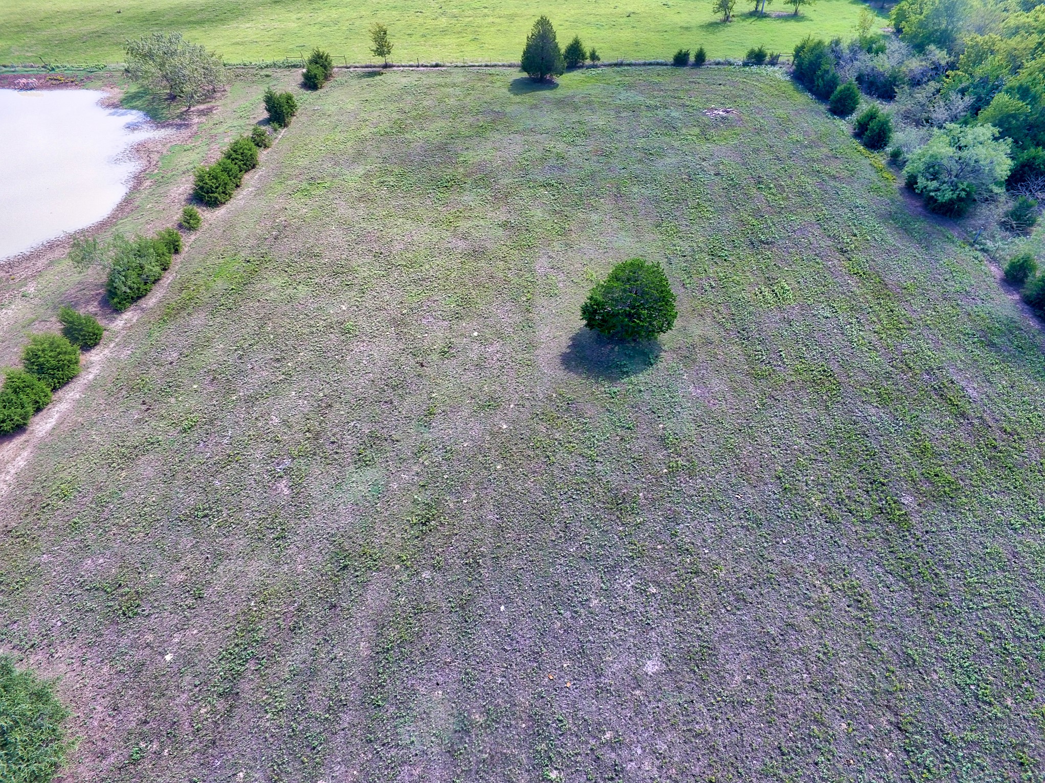 0 Palmer Lane Oak Grove TX 75142