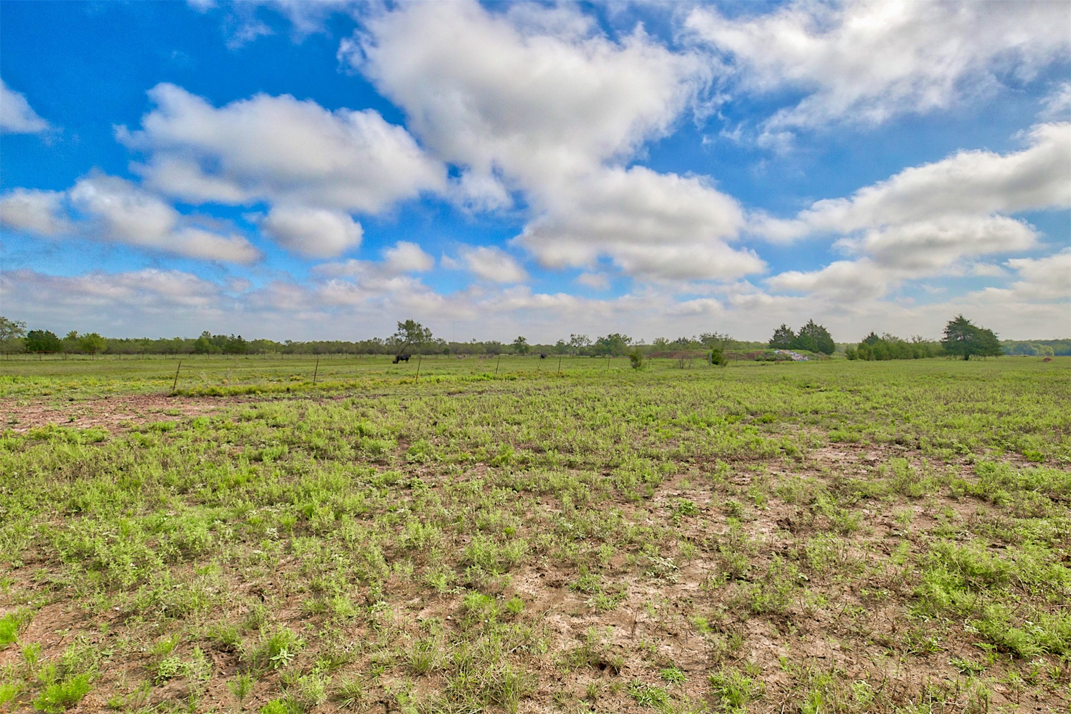 0 Palmer Lane Oak Grove TX 75142