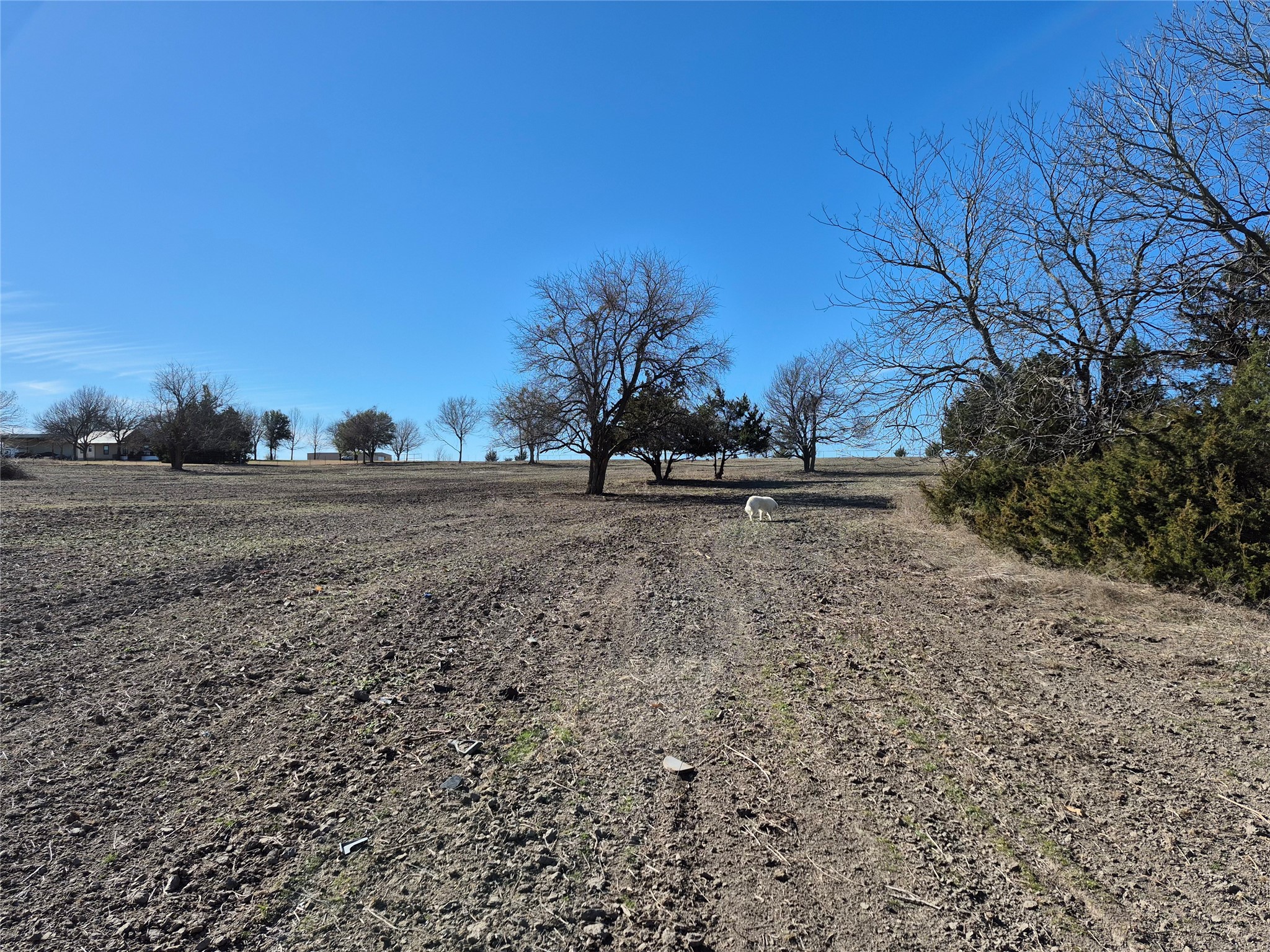 1149 Cr 4642 Trenton TX 75490