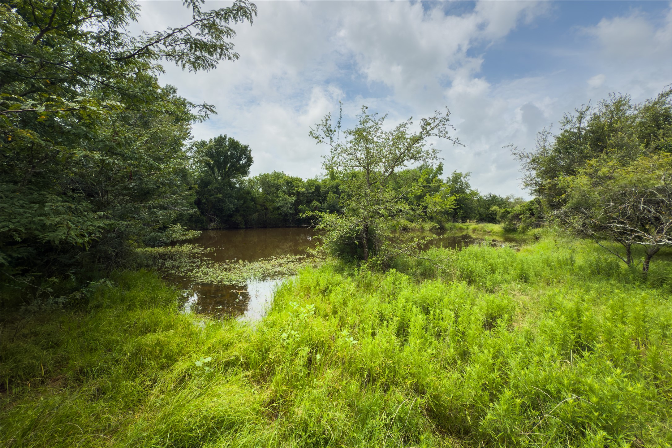 Lot 11 County Road 173 Marlin TX 76661