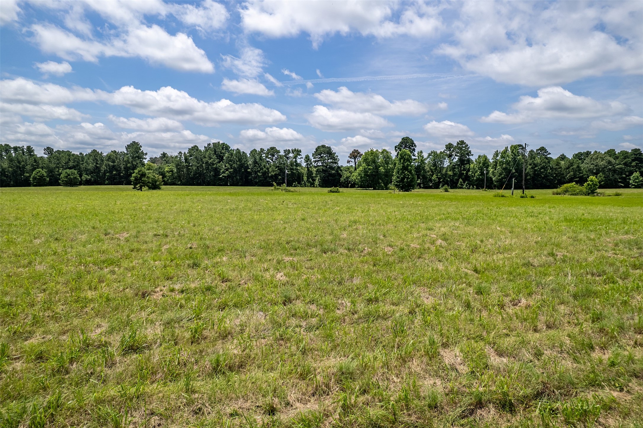 15688 Us Highway 271 Tyler TX 75708