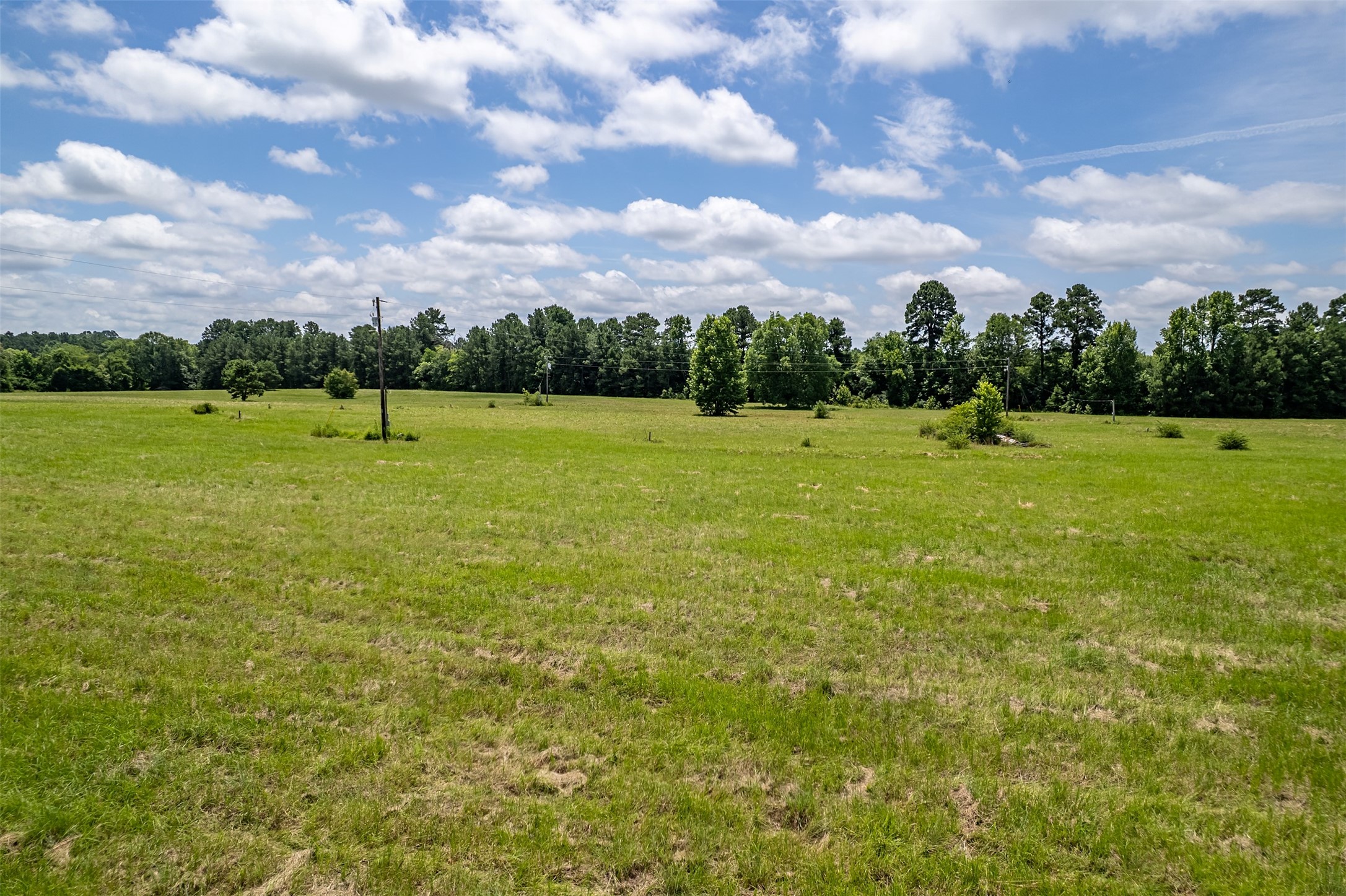 15688 Us Highway 271 Tyler TX 75708