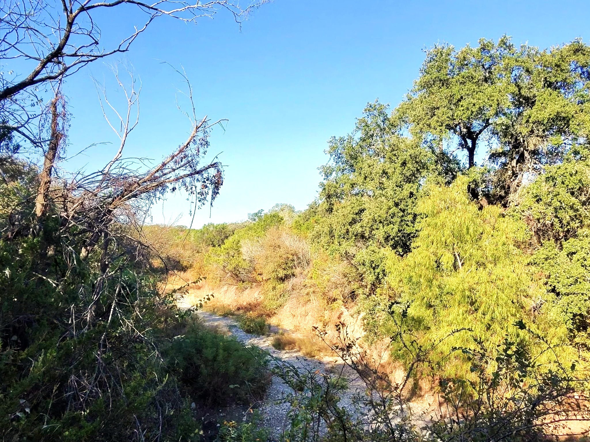 Tbd 200 Acres Fm-2481 Road Stephenville TX 76401