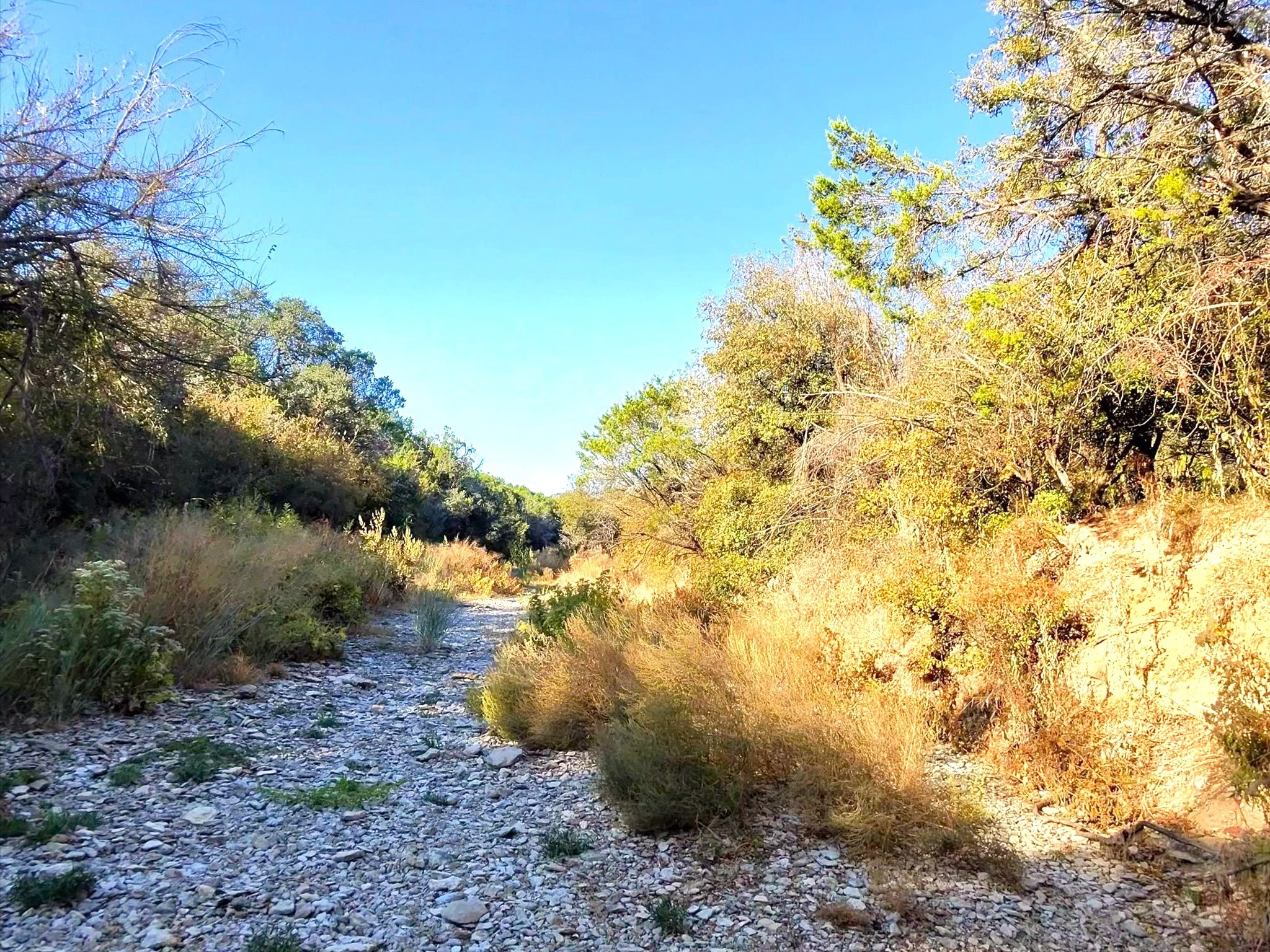 Tbd 200 Acres Fm-2481 Road Stephenville TX 76401